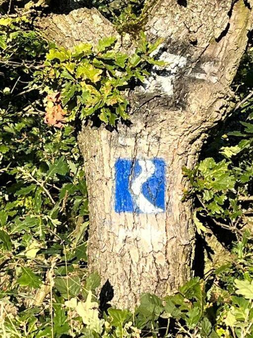 라인브로우 Rheinauszeit 아파트 외부 사진